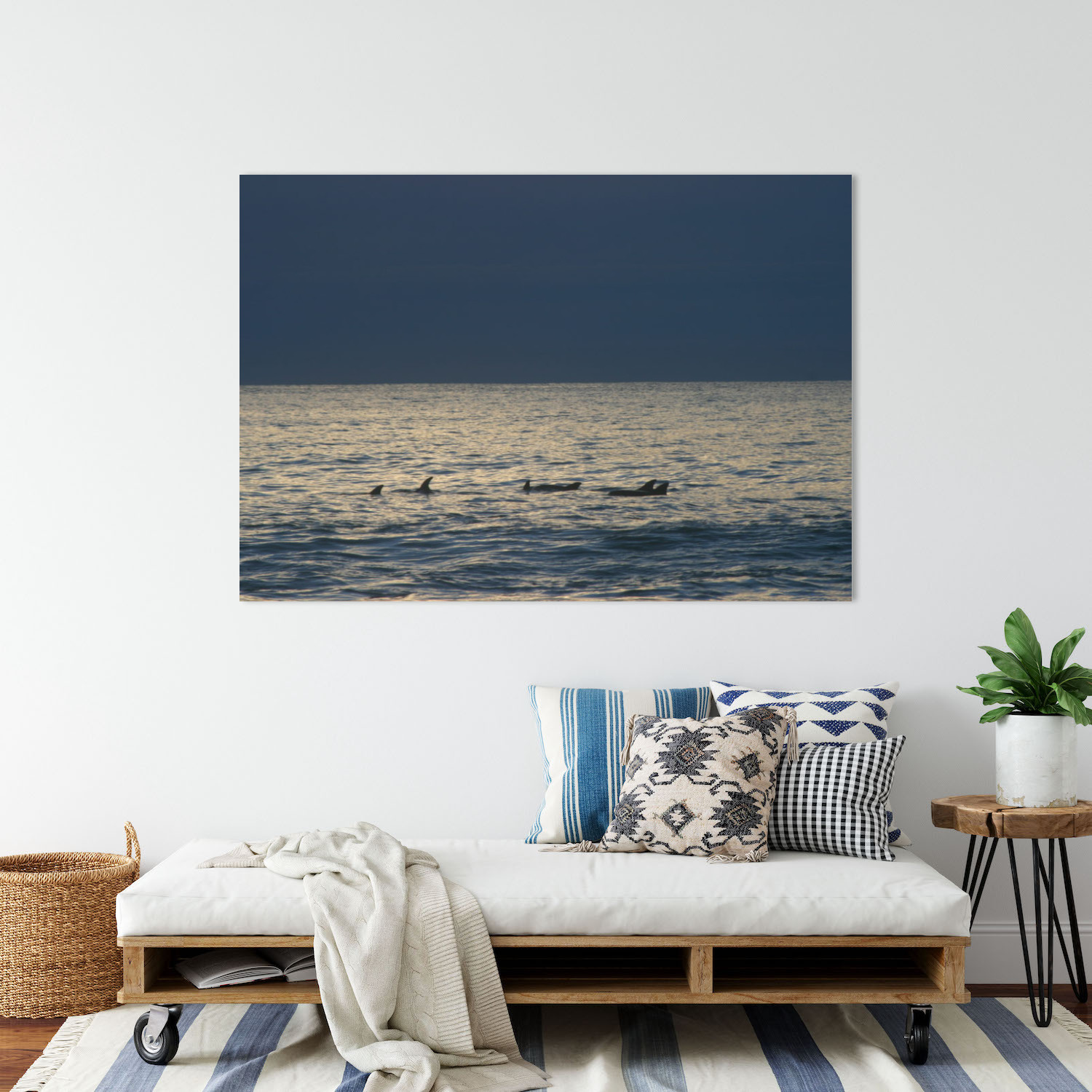 Sunrise for July 8, 2008 in Northern Beaches by Neil White. View and purchase prints of this sunrise on Sunrise Daily, at https://sunrisedaily.co.